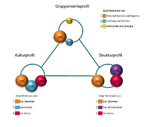 Beispiel eines Kulturprofils